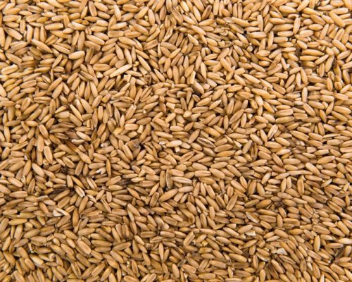 Indian Grains & Cereals